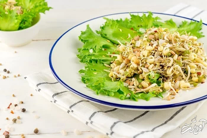 فواید و خواص جوانه گندم  جوانه گندم و لاغری